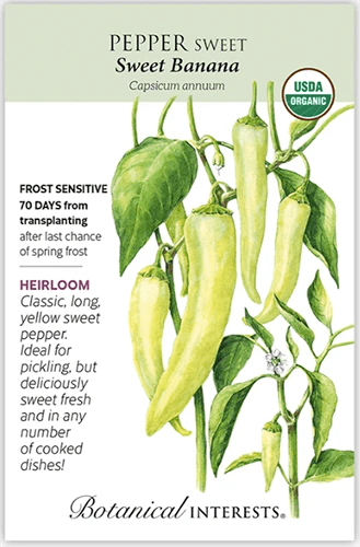 A close up of a packet of ‘Sweet Banana’ seeds with text to the left of the frame and a hand-drawn illustration to the right.