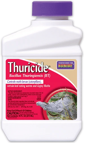 A close up of a bottle of Bonide Thuricide isolated on a white background.