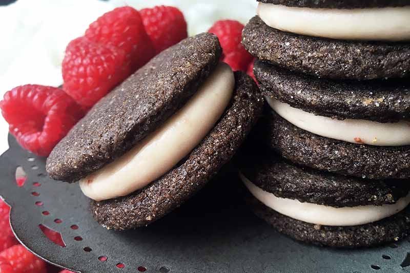 A close up of chocolate oreos with a cream filling.