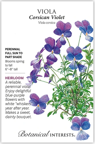 A close up of a packet of Corsican violet seeds with text to the left of the frame and a hand-drawn illustration to the right.