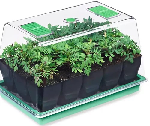 A close up of a deep root seedstarting set isolated on a white background.