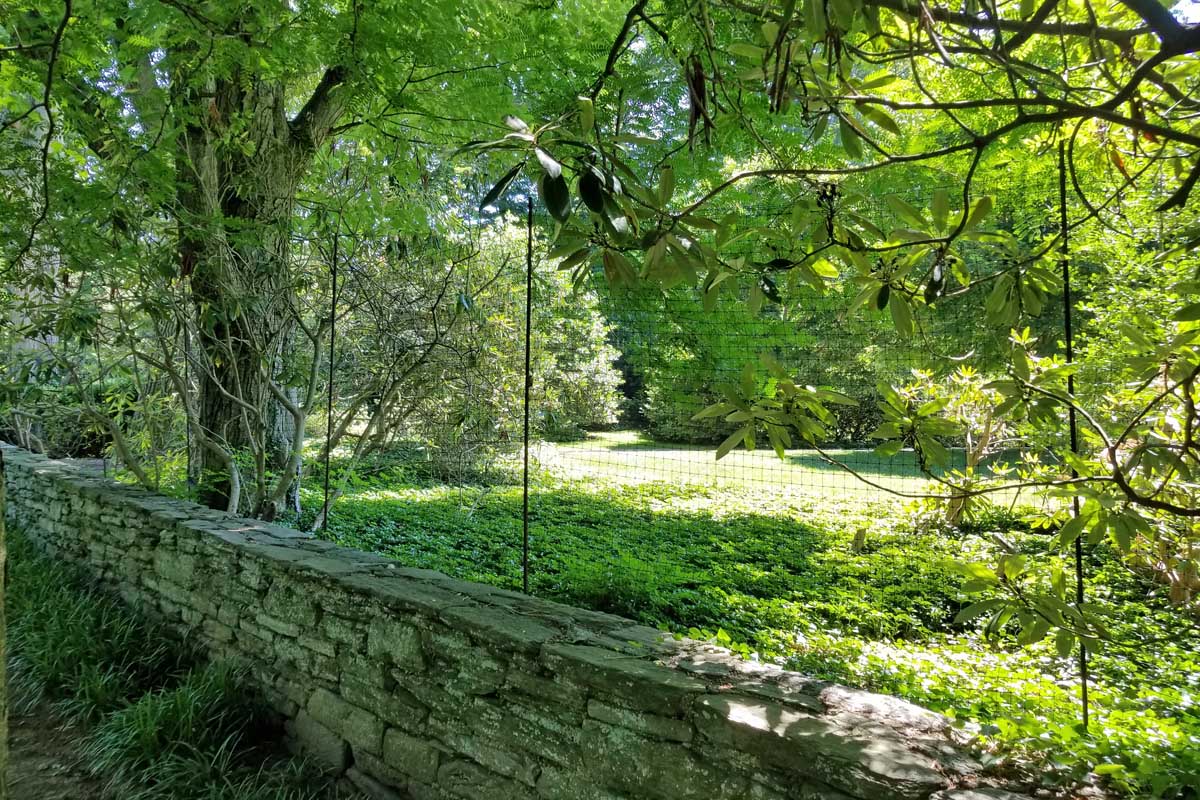 Black net deer fencing alone a stone retaining wall, with grass and trees on the other side.