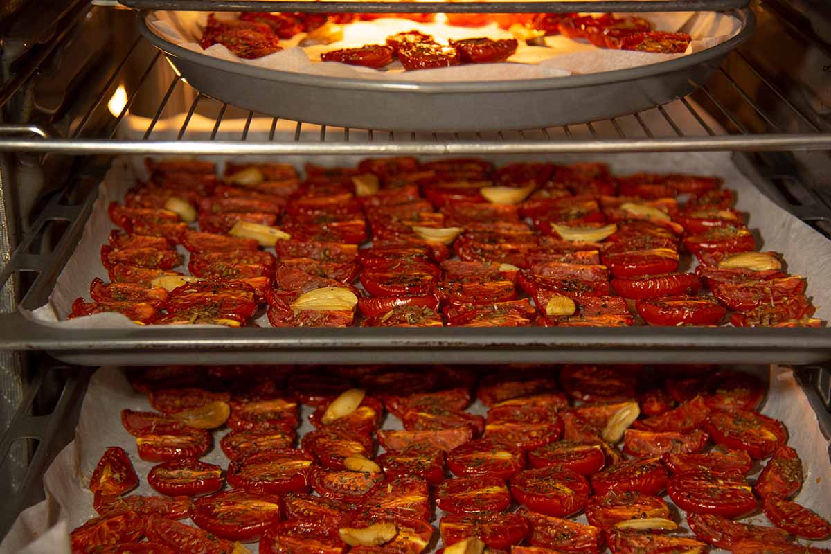 How to Dehydrate Homegrown Produce for LongTerm Storage
