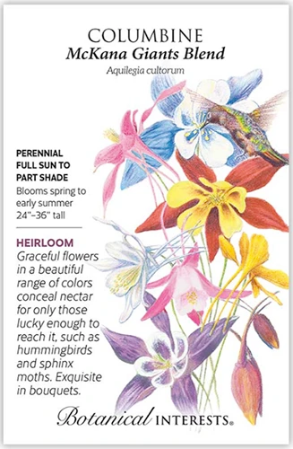 A close up of a packet of columbine seeds with a hand-drawn illustration to the right of the frame and text on the left.