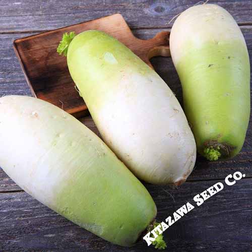 A close up square image of Korean &lsquo;Cheong Du&rsquo; set on a wooden surface.