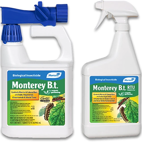 A close up of two bottles of Monterey BT isolated on a white background.
