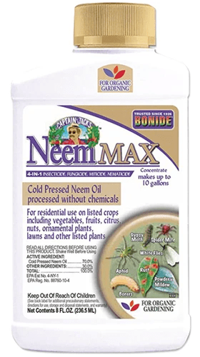 A close up of a bottle of Bonide Neem Max isolated on a white background.