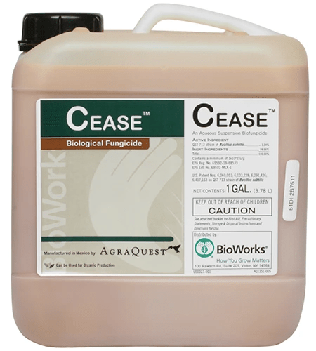 A close up of a bottle of CEASE Biological Fungicide isolated on a white background.