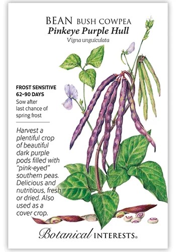 A close up of a seed packet of ‘Pinkeye Purple Hull’ with text to the left of the frame and a hand-drawn illustration to the right.