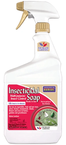 A close up of a bottle of Bonide insecticidal soap isolated on a white background.