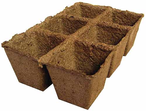 A close up of CowPots biodegradable seed starting tray isolated on a white background.