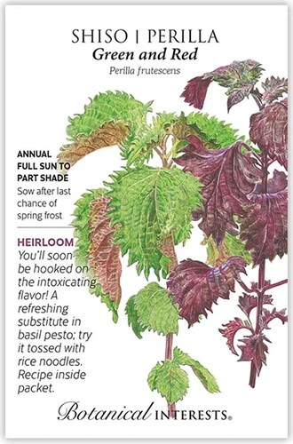 A close up of a packet of shisho seeds with text to the left of the frame and a hand-drawn illustration to the right.