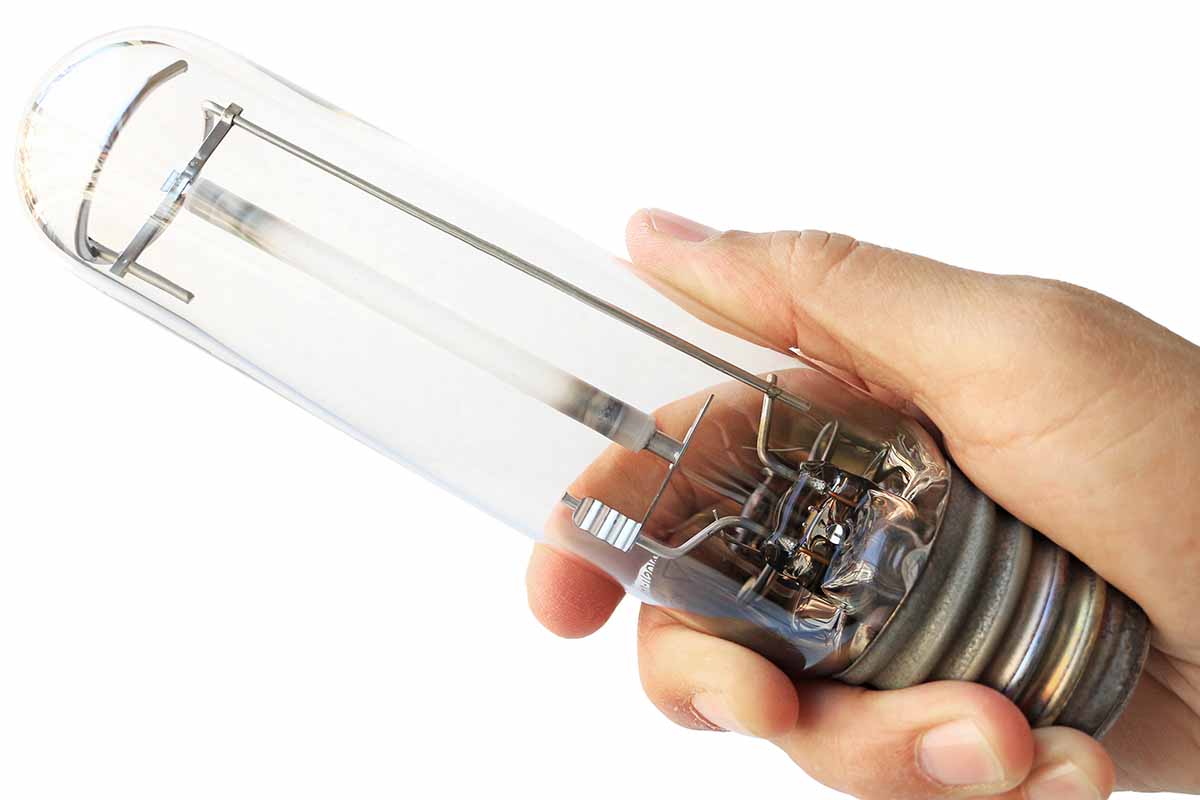 A close up horizontal image of a hand from the right of the frame holding up a high intensity discharge lamp pictured on a white background.