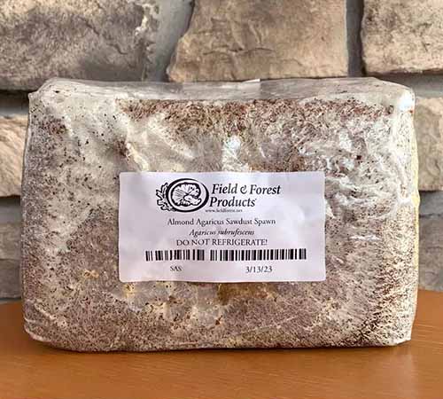 A close up horizontal image of sawdust spawn in a plastic packet.