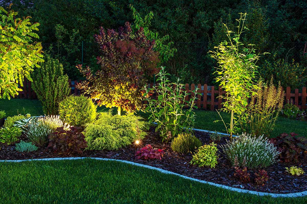A horizontal image of an ornamental garden bed lit with outdoor lighting pictured at nighttime.
