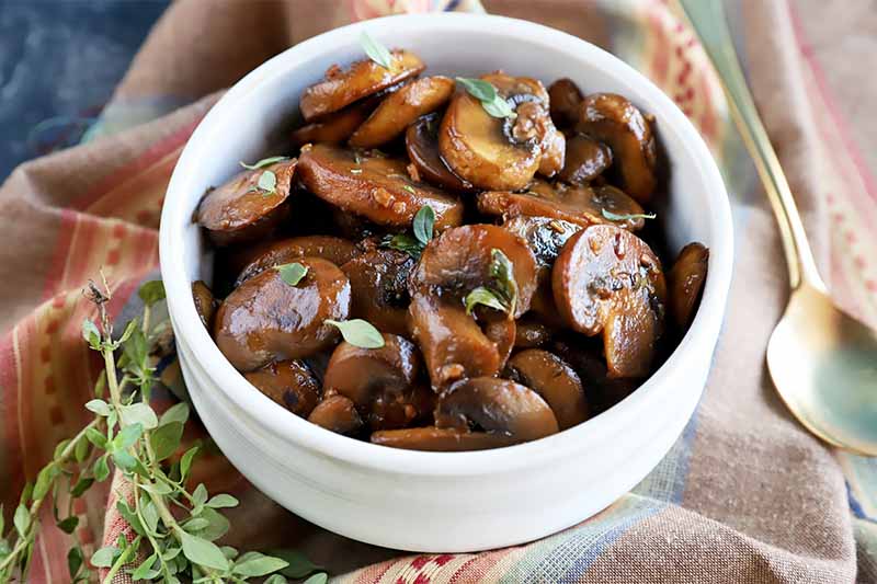 A close up horizontal image of a white bowl of freshly prepared sauteed mushrooms.