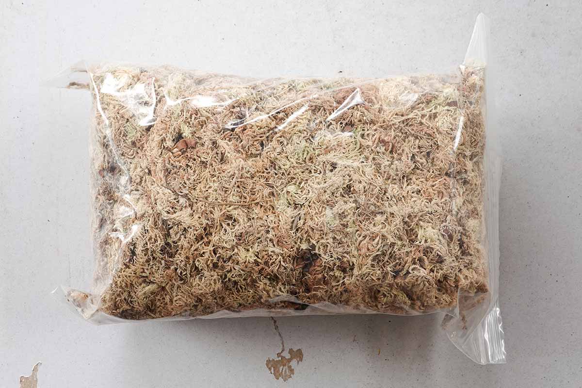 A close up horizontal image of a bag of sphagnum moss set on a white surface.
