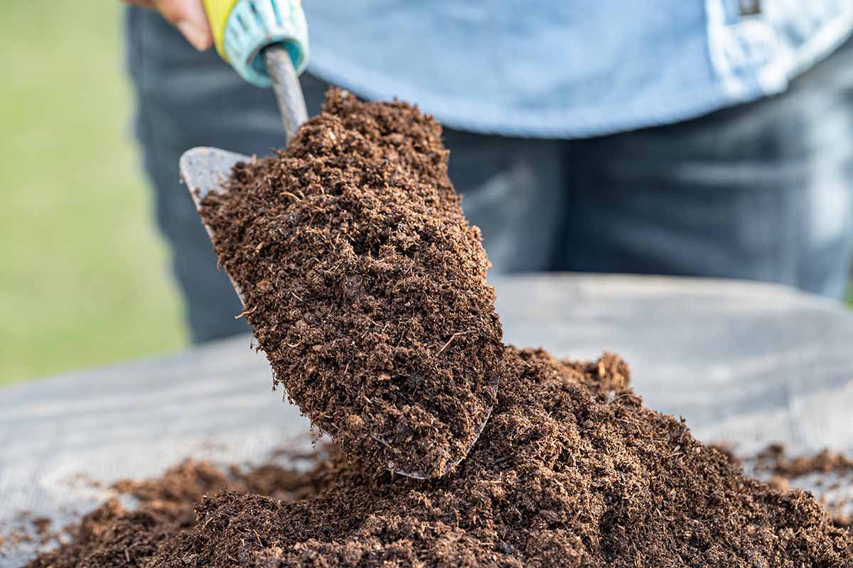 A close up horizontal image of a gardener using a trowel to scoop up potting soil for container gardening.