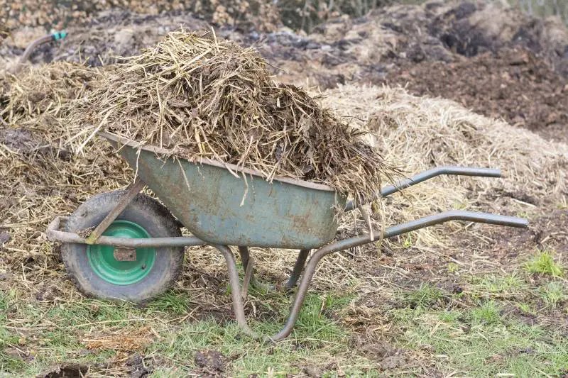When To Put Manure On Garden Gardeners Yards