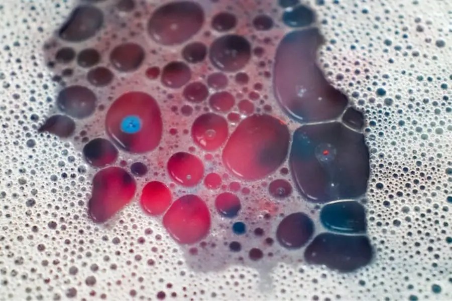 Guide On Homemade Gypsy Moth Spray Gardeners Yards