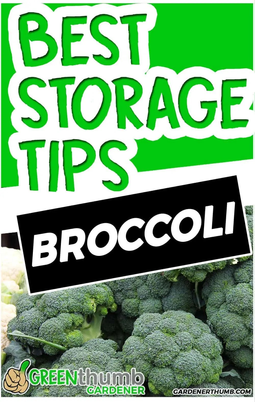 How Long Does Broccoli Last 7 Tips to Extend its Shelf Life Green
