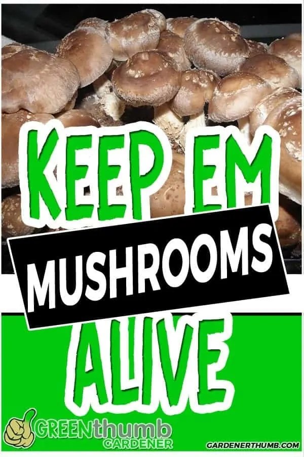 How Long Do Mushrooms Last 7 Tips to Keep them Fresh Green Thumb