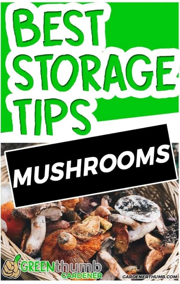 How Long Do Mushrooms Last 7 Tips to Keep them Fresh Green Thumb
