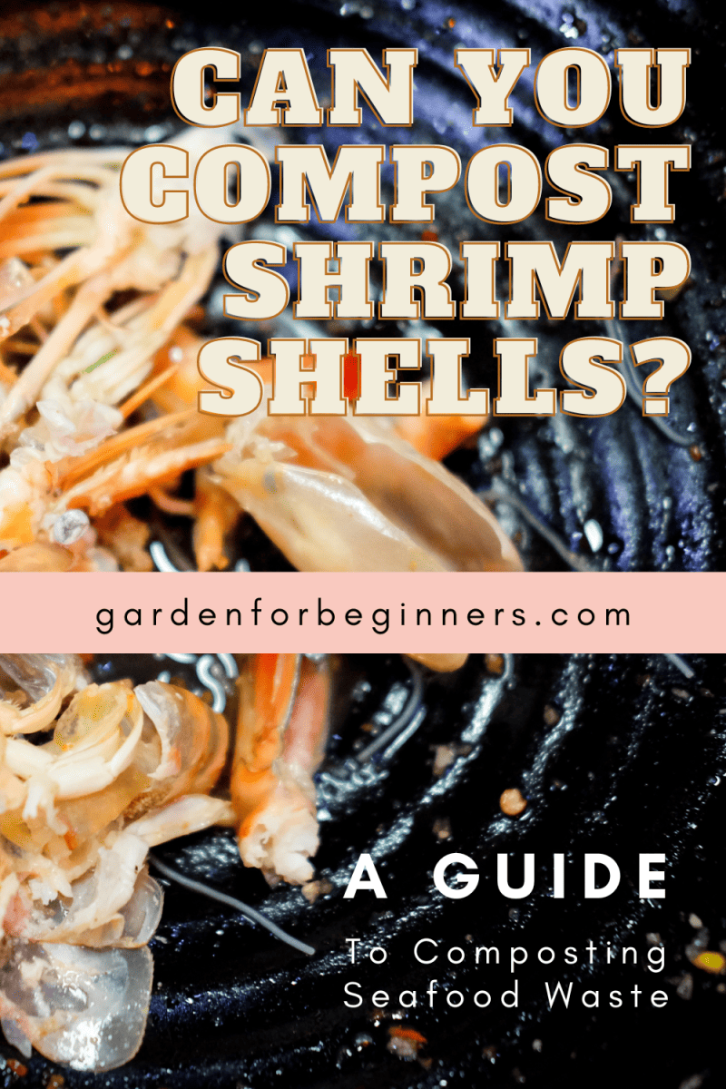 Can You Compost Shrimp Shells? A Guide to Composting Seafood Waste