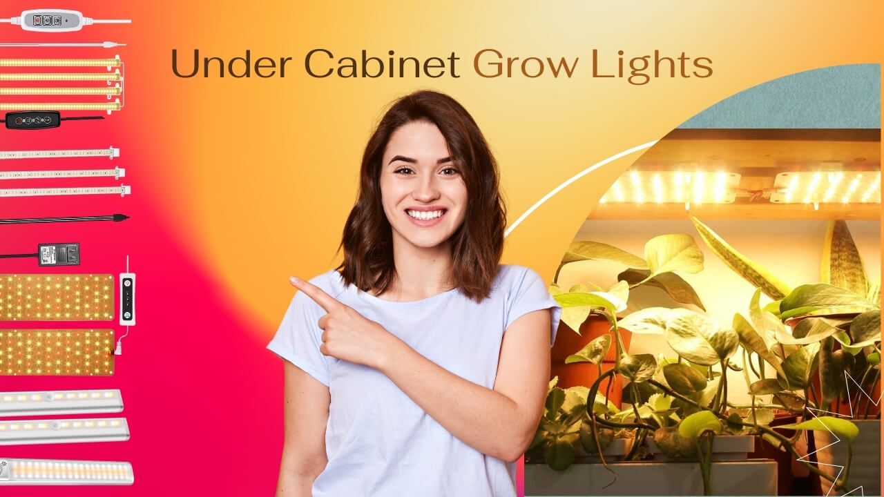 Garden Designs Types of Plants and Flowers for Gardening