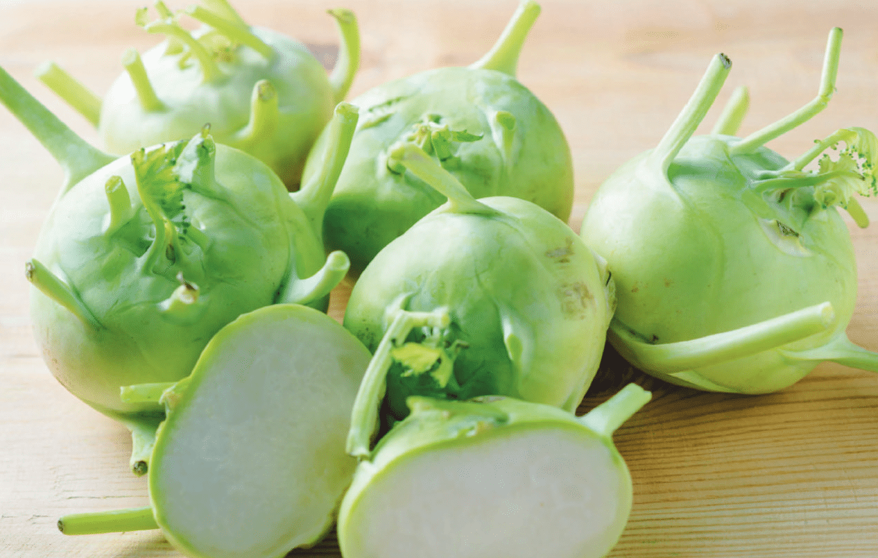 German Turnip Kohlrabi Descendant Of Wild Cabbage Gardenfrontier