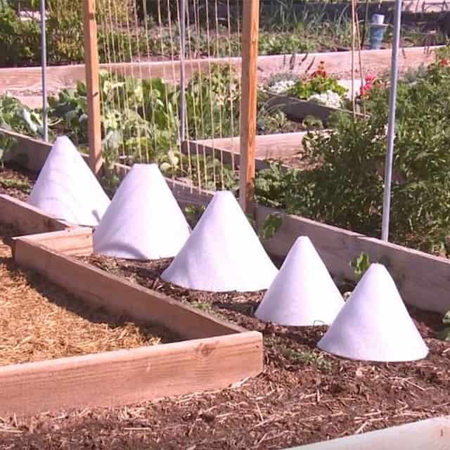 Best Plant Covers for Winter Garden Gear Shop