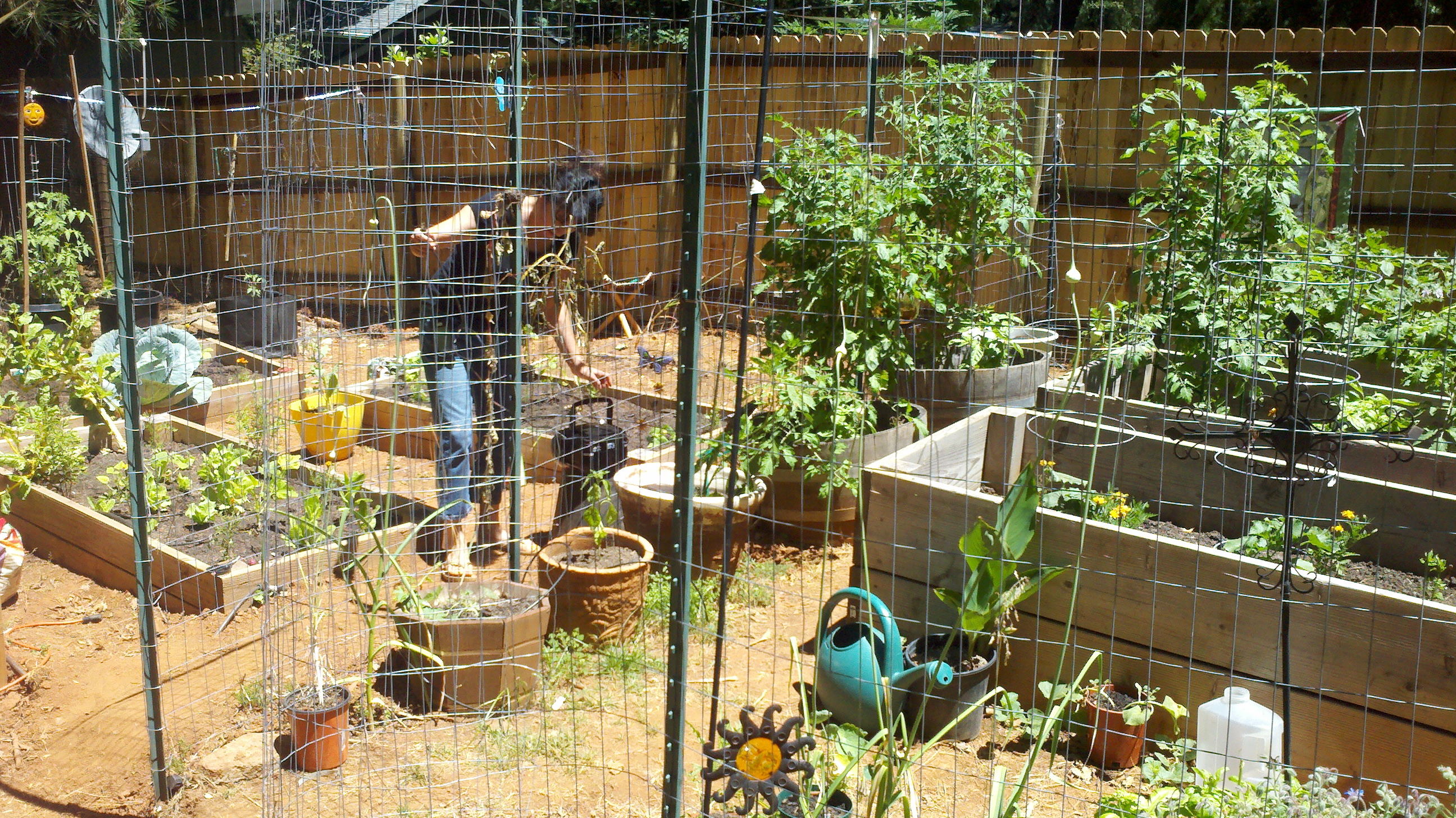 Helena’s 7 Gardening Tips Garden Goddesses