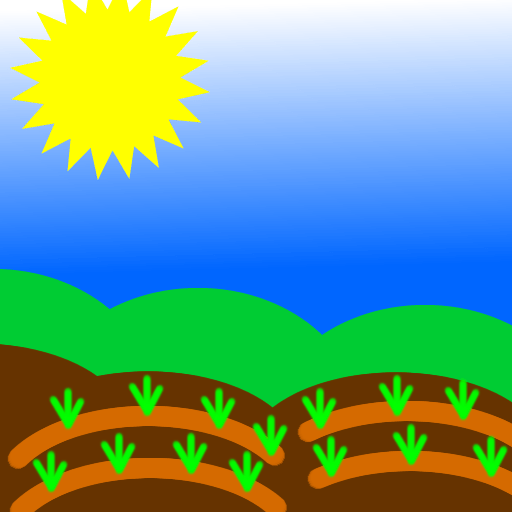 A comment on growing Lettuce