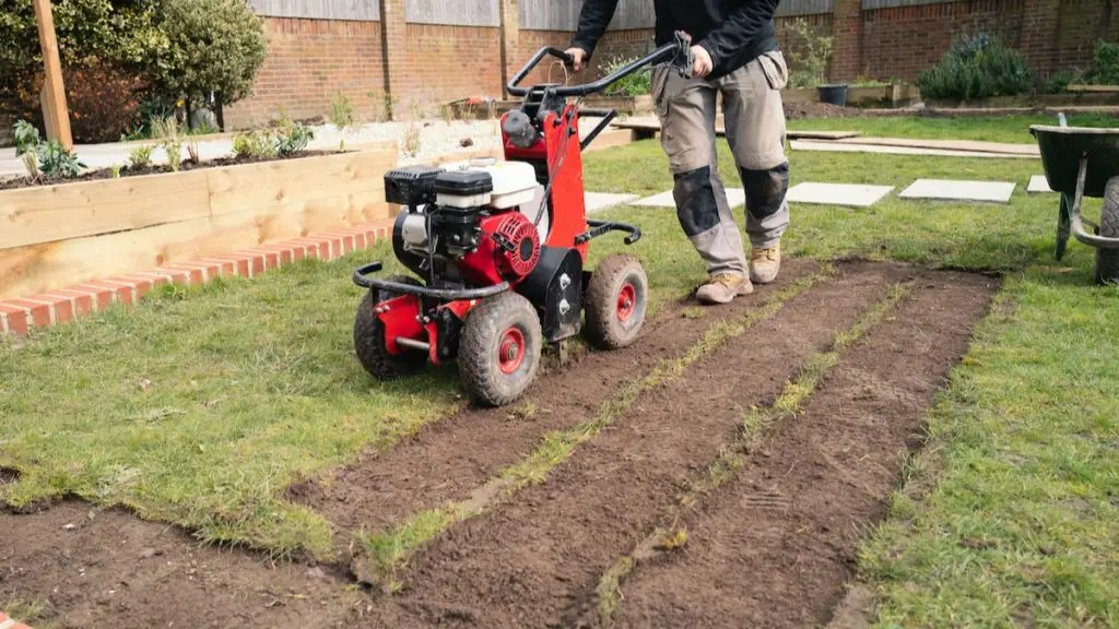 how to remove dead grass after roundup the best guide of 2022