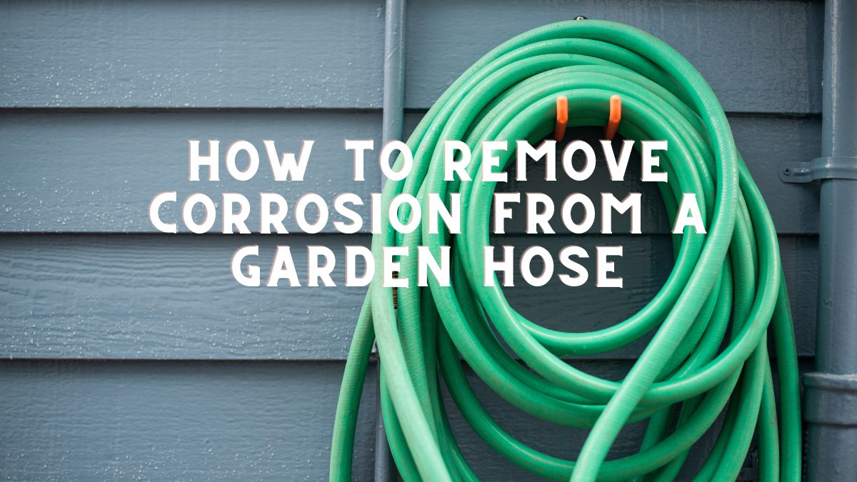 How To Remove Corrosion From A Garden Hose A Comprehensive Guide For