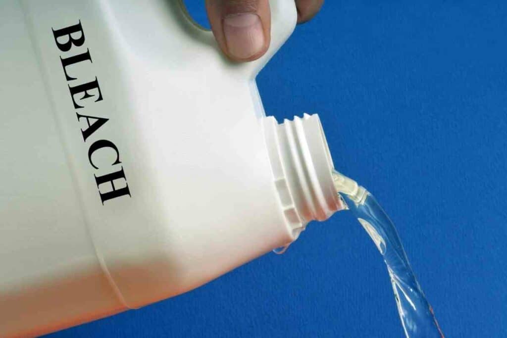 Is It Really Possible To Kill A Tree With Bleach? Gardenia Organic