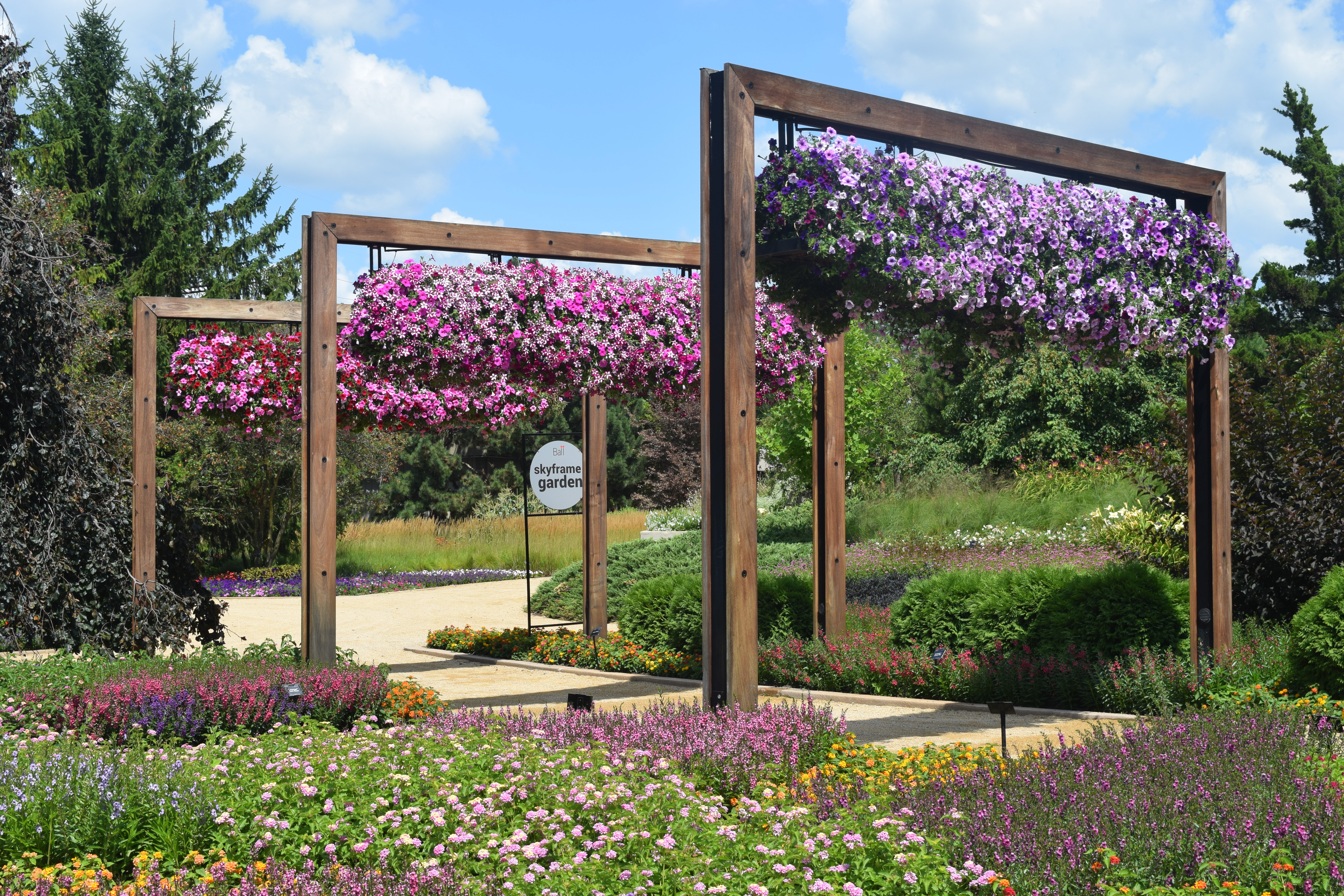 More New Plants for 2020 gardeninacity