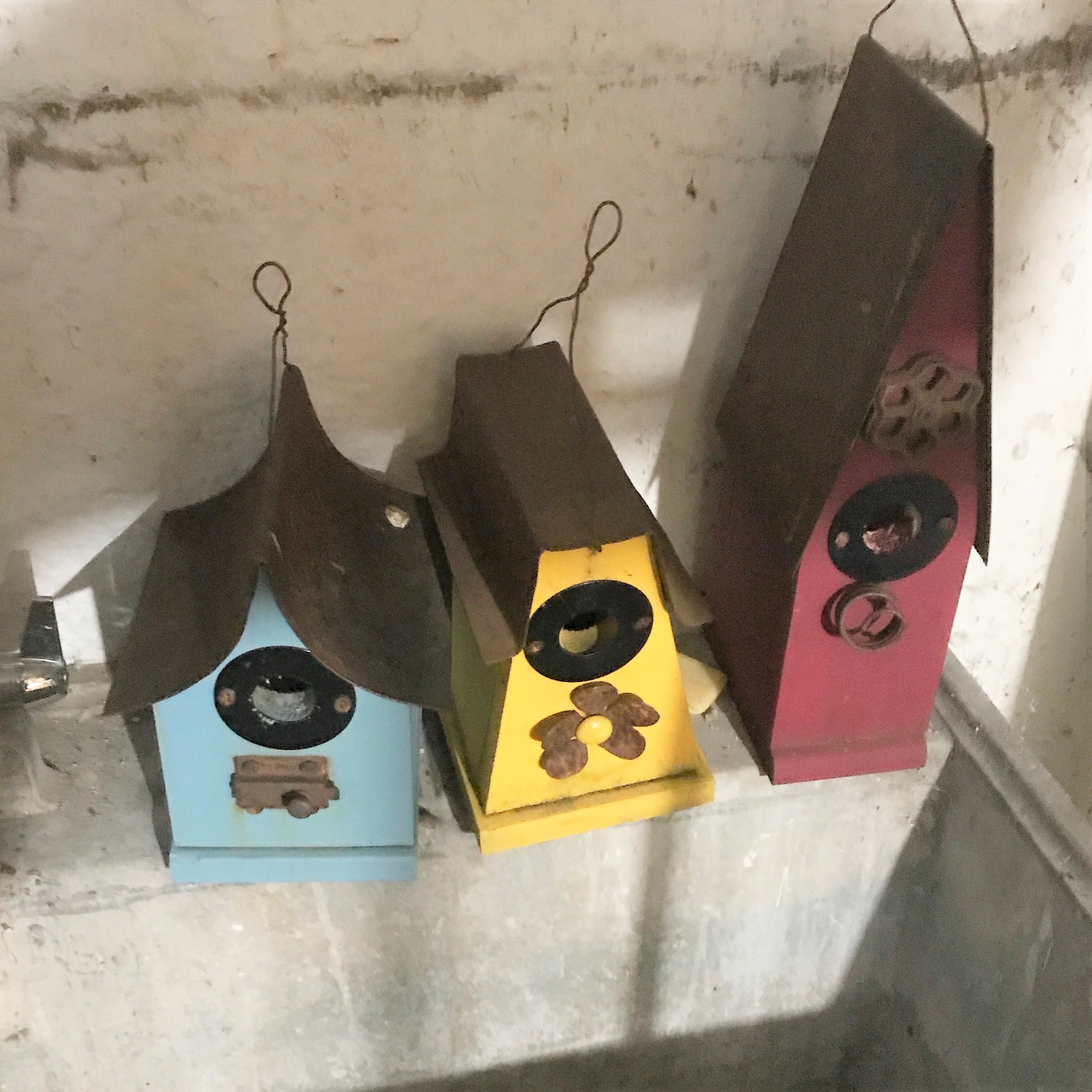 A Winter Cleaning for the Birdhouses gardeninacity