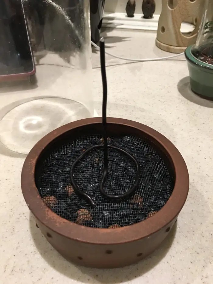 Add a filter to the terrarium container