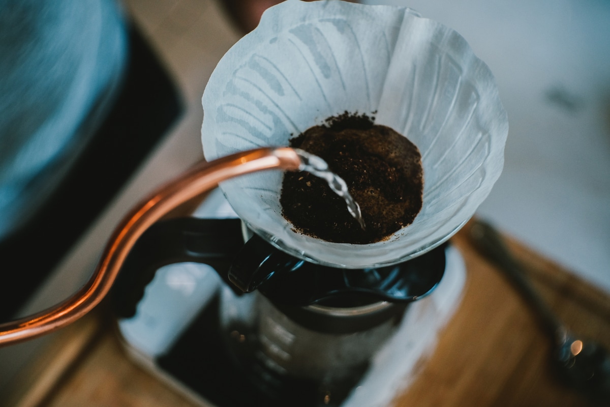 19 Top Tips For Using Coffee Grounds In The Garden Gardening