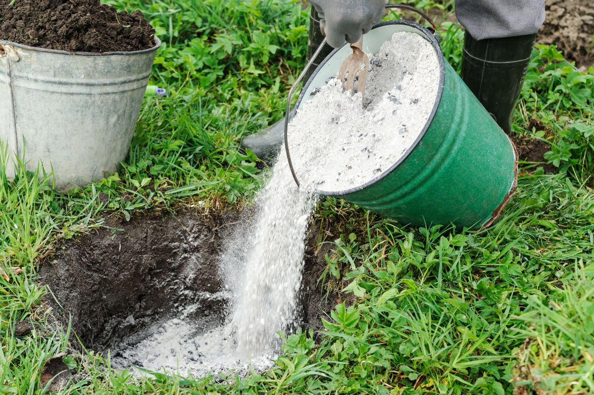 Does Ash Make Soil Acidic Hot Sale head.hesge.ch