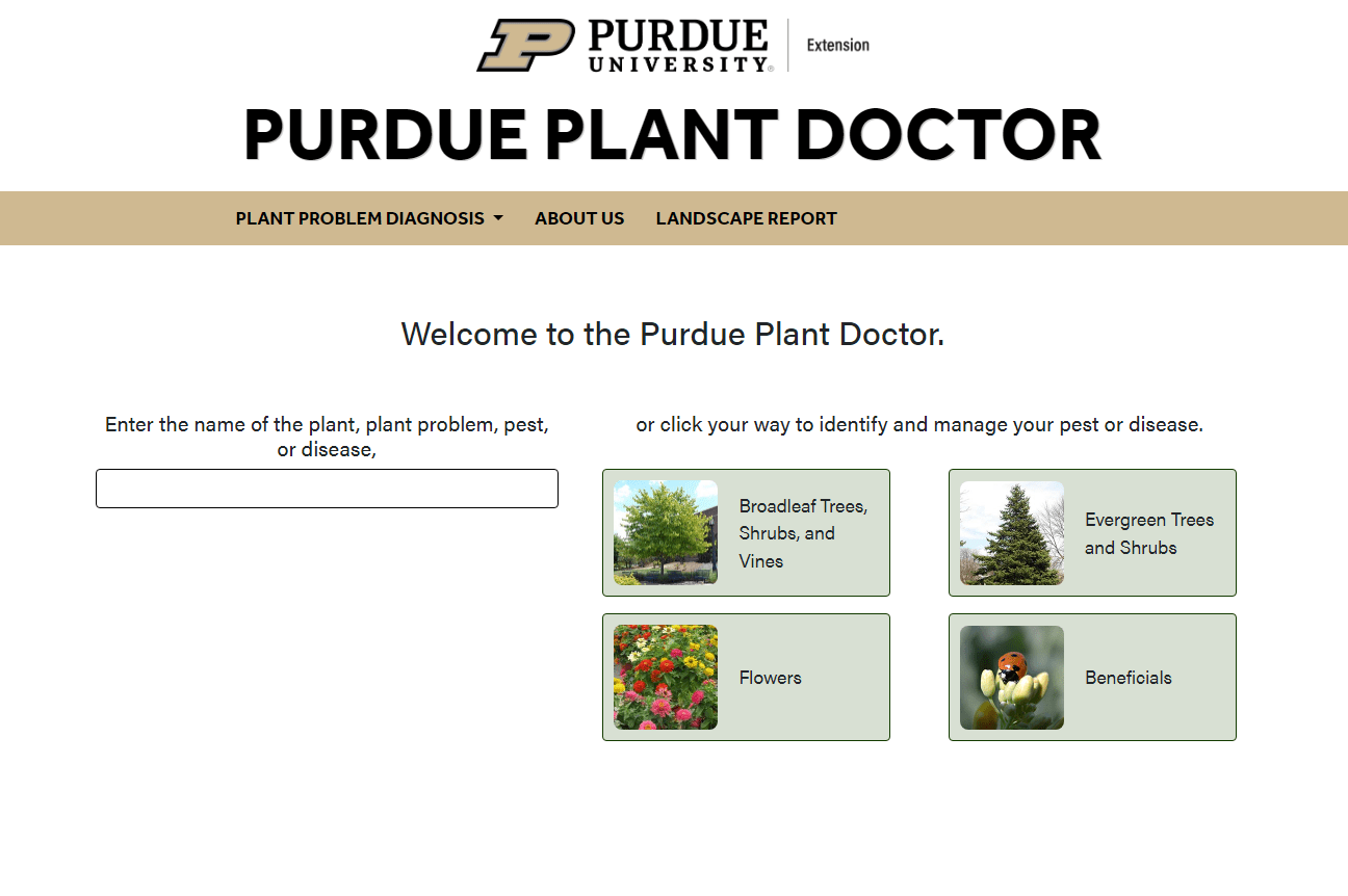 Online Purdue Plant Doctor A Magical Journey into Plant Care