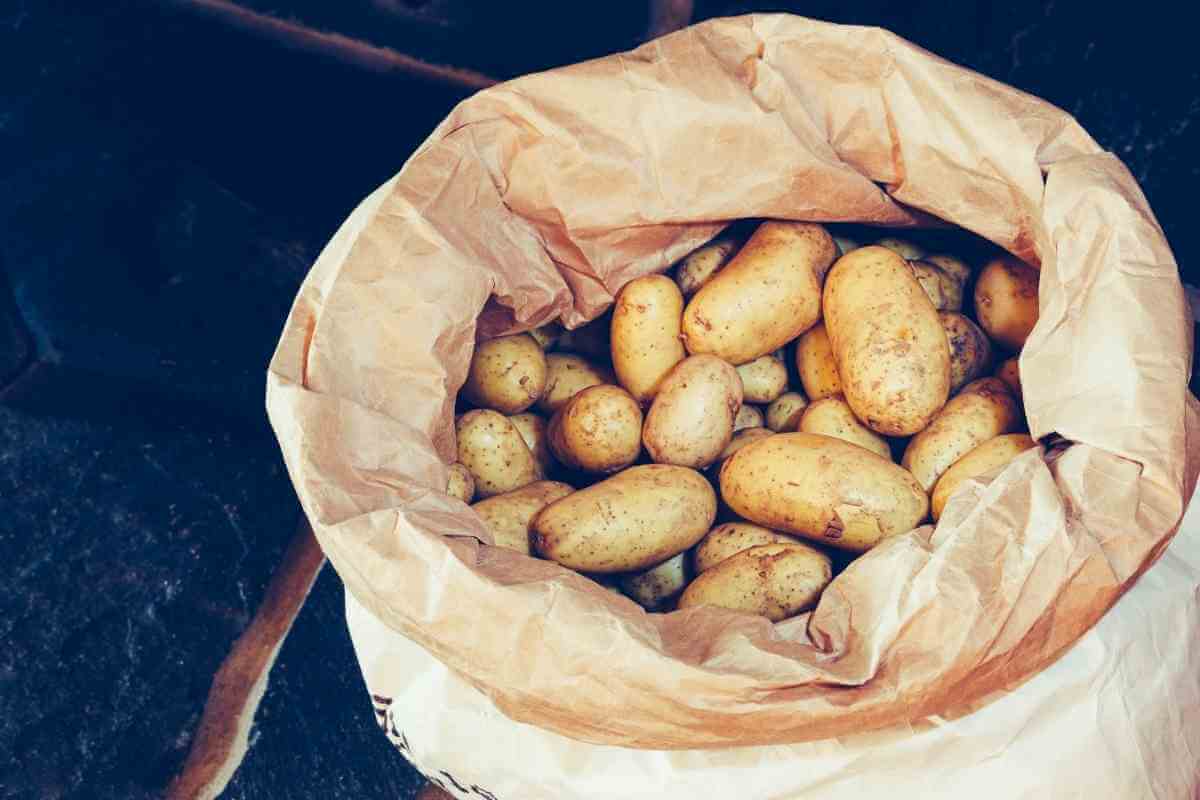 5 Best Potato Storage Containers (+ Safe Storage Tips)