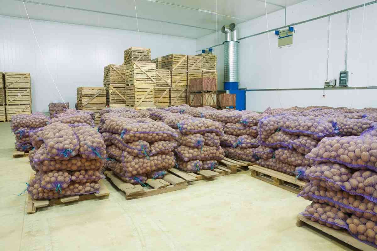 5 Best Potato Storage Containers (+ Safe Storage Tips)