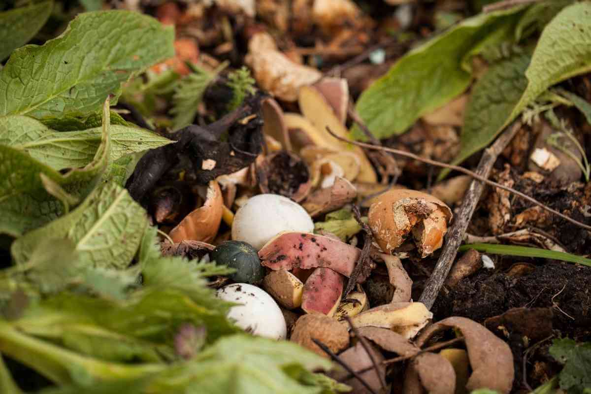 Top 15 Plants That Don’t Like Mushroom Compost