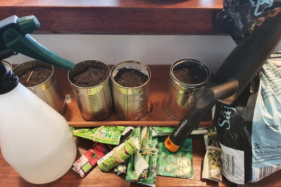 26 Garden Plants You Can Grow in a Tin Can Gardening Break