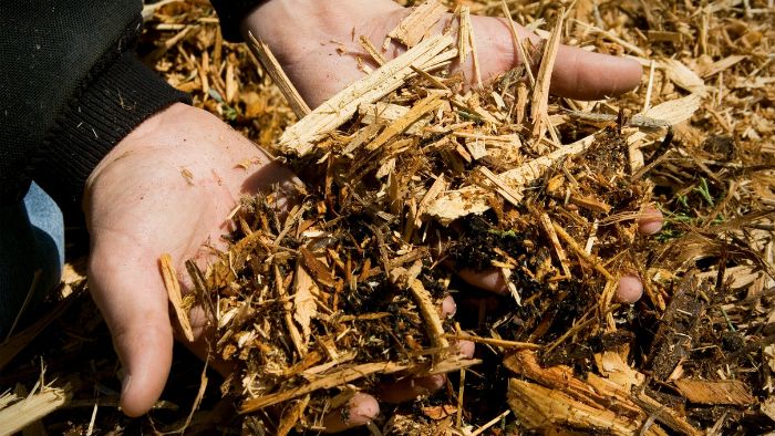 Does pine straw stop weeds?