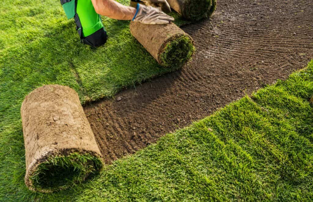 How Long After Tilling Can I Plant Grass? 5 Benefits of Tilling