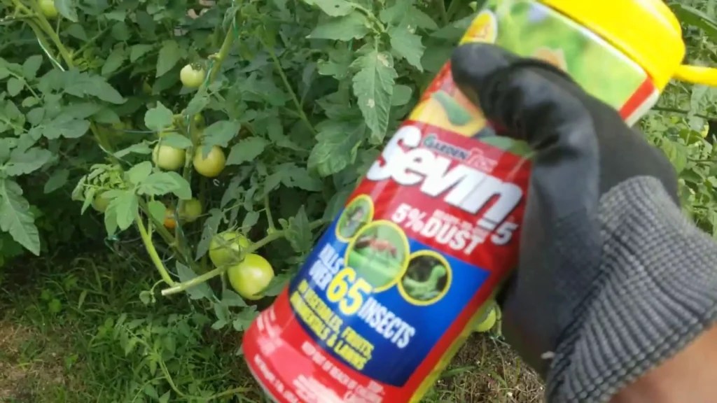 Have You Tried 'Sevin Dust' for Pest Control? Here are 5 Effective Tips