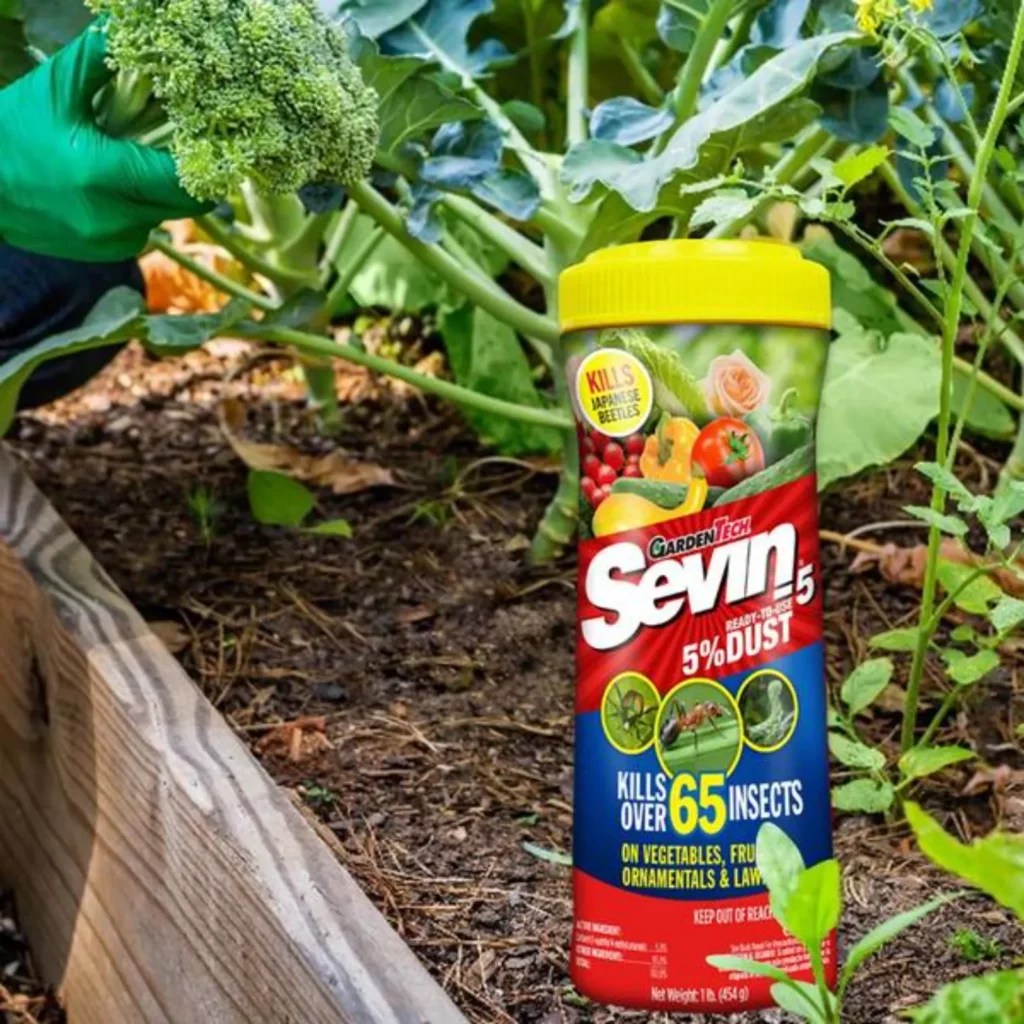 Have You Tried 'Sevin Dust' for Pest Control? Here are 5 Effective Tips